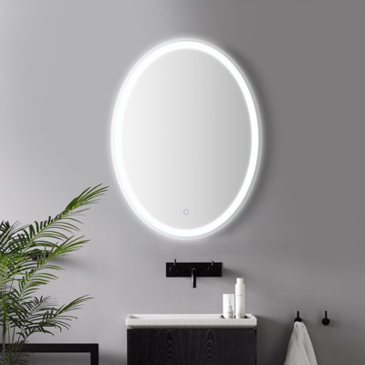Dane 24 in. W x 32 in. H Small Oval Frameless Dimmable Anti-Fog Front and Backlit Tri-Color LED Wall Bathroom Vanity Mirror
