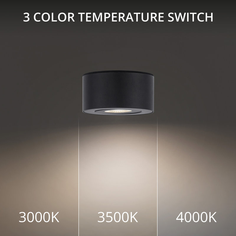 Peek 1 - Light LED Flush Mount, Black, 3000K