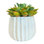 Pot en céramique de 4 po, plante décorative