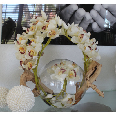 Orchid Arrangement in Vase