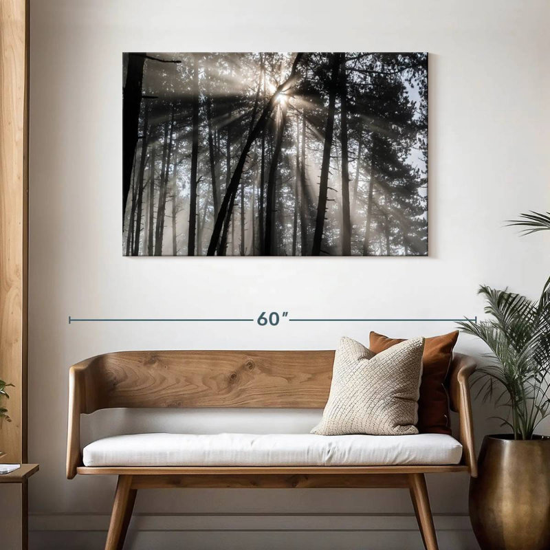 Alvord Forest Sun Beam