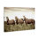 «Horse Trio Gaze», art mural sur toile par Kim Allen