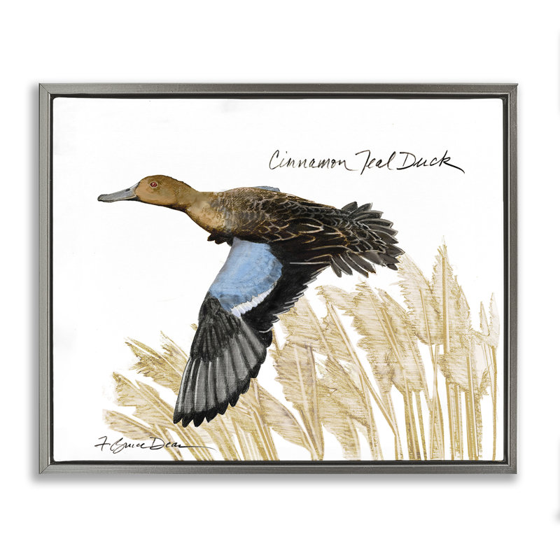 «Cannelle bleu sarcelle canard volant» par Jadei, Cadre flottant gris lustré, H 25 po x l 31 po