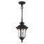 Courteau Outdoor Pendant-1261356436-1261356440