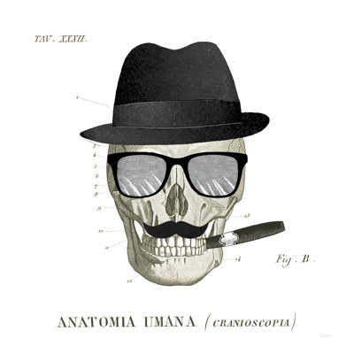 Dandy Bones V - Wrapped Canvas Print