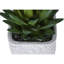 Plante artificielle