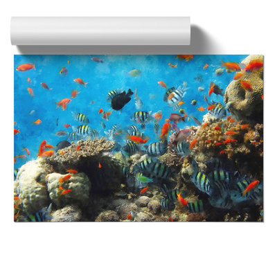 Coral Reef and Fish Painting - Frameless Print