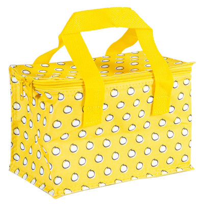 Insulated Lunch Bag