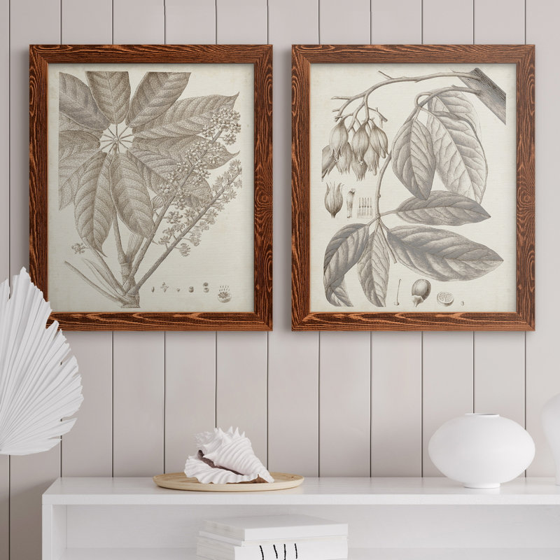 " Sepia Exotic Plants V " 2 - Pieces, 20" H x 24" W x 1" D, Maple Framed