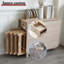 Dining Table-652054898