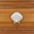 Seashell Medium Knob-39948804-104673476-126755986