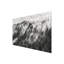 Light Rays In Coniferous Forest - No Frame Print on Glass-508000610-508000620