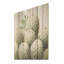 Cactus minimaliste beige et vert - bois de cactus sur bois de pin naturel-968873207