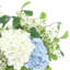 Assortiment d'hortensias et de tiges bourgeonnantes dans un pot en fibre de pierre