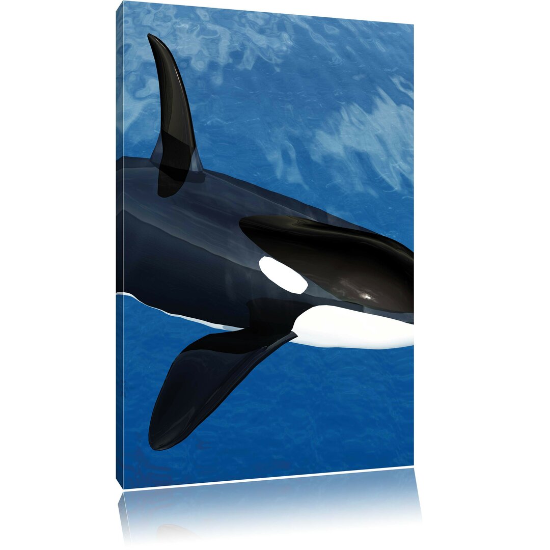 Leinwandbild Orca im blauen Meer