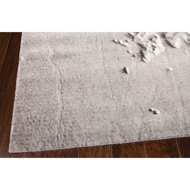 Tapis gris clair Horice