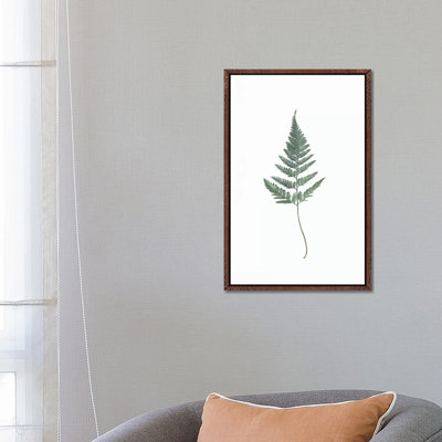 Fern 1 Piece Wall Art on Canvas