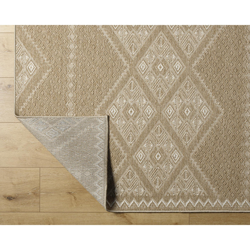 Moroccan Tan and White Outdoor Area Rug, Rectangle 5'2" x 7'