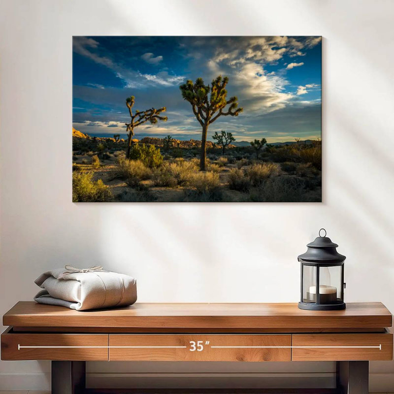 Paysage du parc national Ravi Joshua Tree, H 16 po x l 24 po
