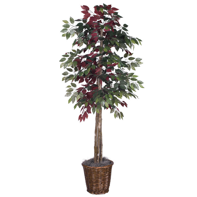 72'' Faux Tree in Wicker/Rattan Basket