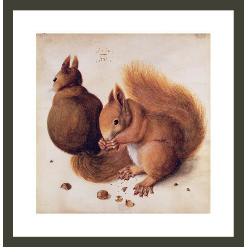 «Squirrels» par Albrecht Dürer, impression giclée sur cadre, H 24,06 po x l 23,5 po