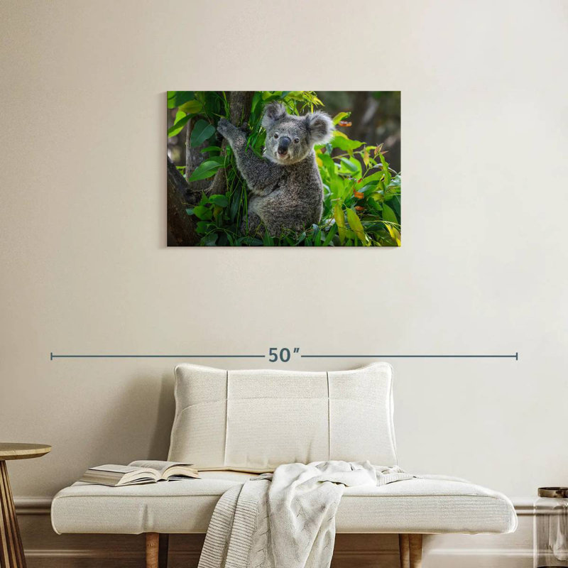 Cute Koala, 20" H x 30" W
