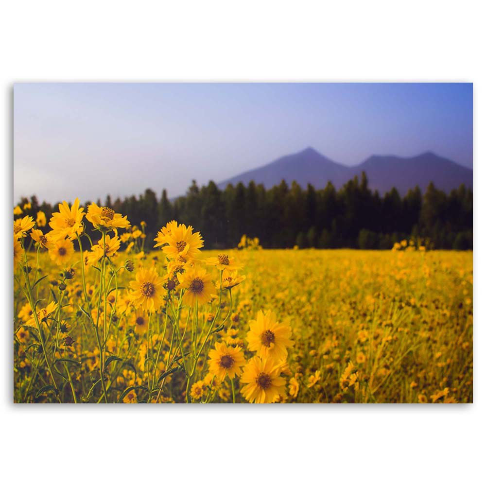 Leinwandbild Wiese mit gelben Blumen Berg