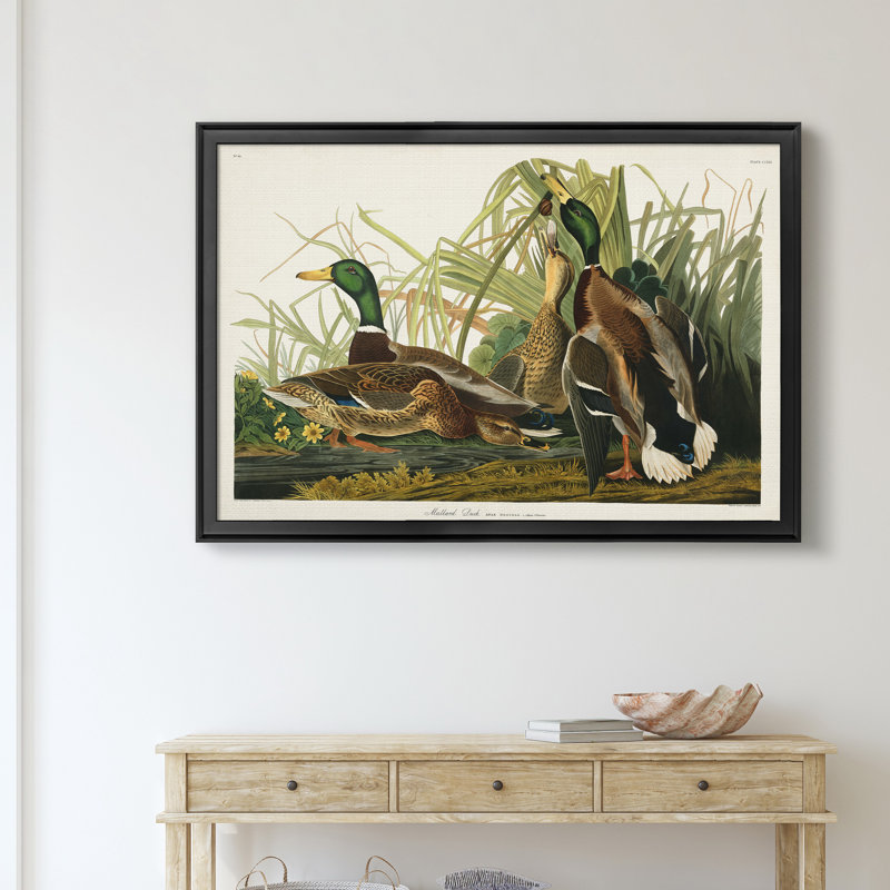 Mallard Duck - reproduction d'art sur toile, Noir, H 26,5 po x l 36,5 po x P 1,5 po
