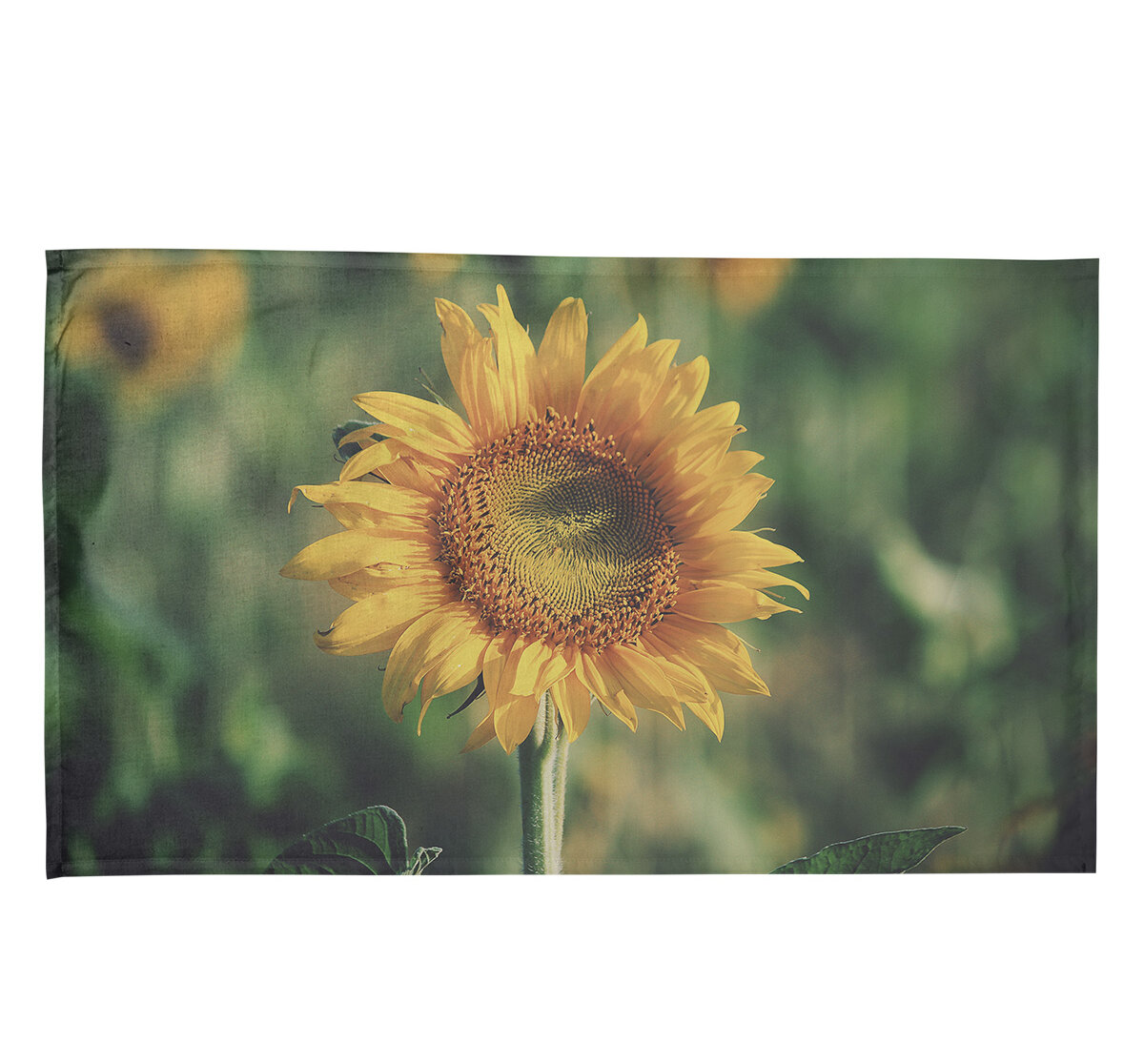 Country Florist Summer Sunflower Kitchen Cotton Tea Towels East Urban Home