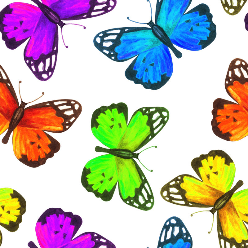 Aquarelle de papillons par Color_Brush, H 36 po x l 36 po