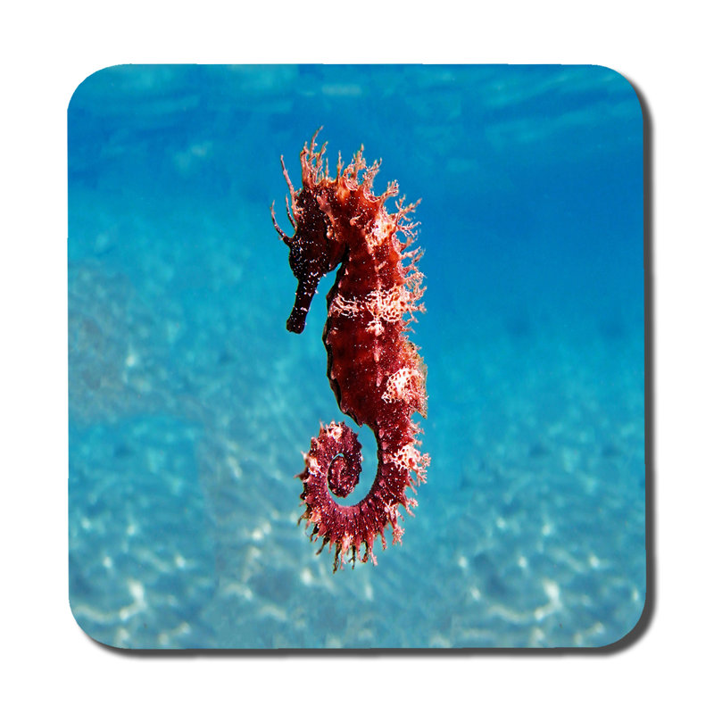 Dradyn Square 6 Piece Coaster Set