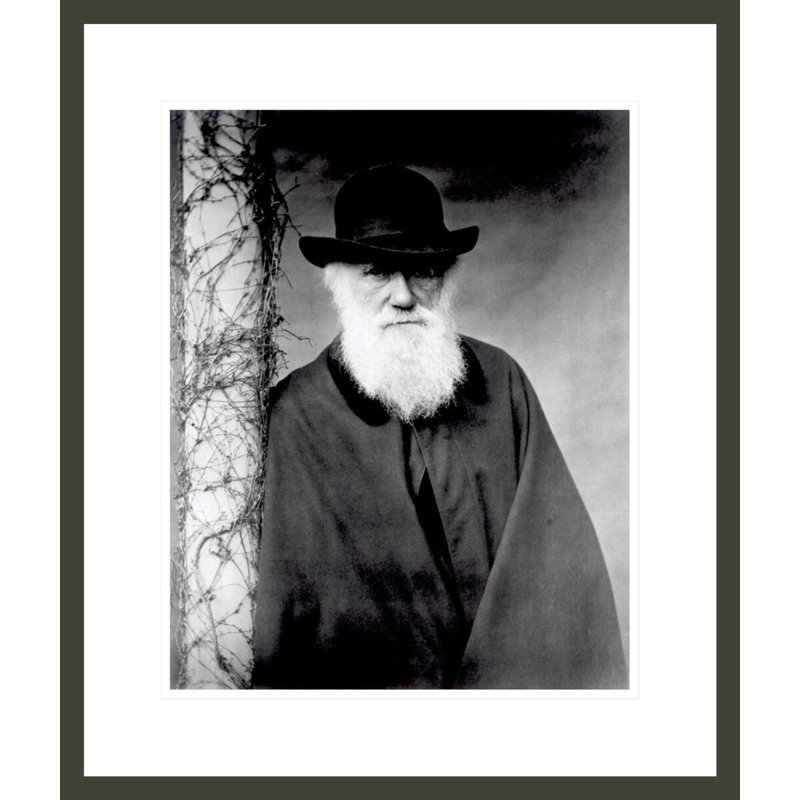 Portrait de Charles Darwin (1809-1882) par Julia Margaret Cameron, impression giclée encadrée, H 20,89 po x l 17,75 po