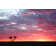 Eure Sunset on Nullarbor Plain - Wrapped Canvas Photograph