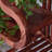 Solid wood shelving floor-to-ceiling flower stand