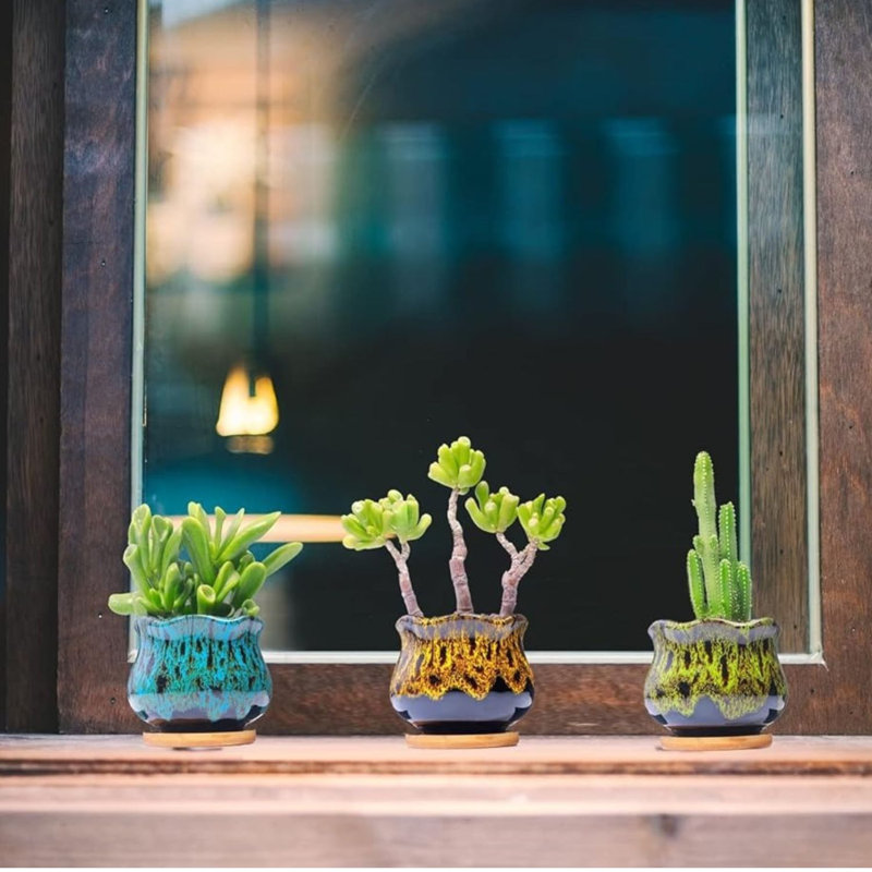 Fambe Ceramic Succulent Pots Set Of 5