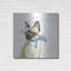 «Cool Cat II» par Grace Popp, art mural en métal, 36 po x 36 po-559811799