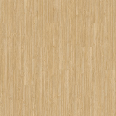 Basics 20 mil T x 8 in. W x 48 in. L Glue down Waterproof Vinyl Plank Flooring (58 sqft/case)