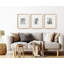 Baislee Matte Picture Frame - Set of 3 with Mat-955399288