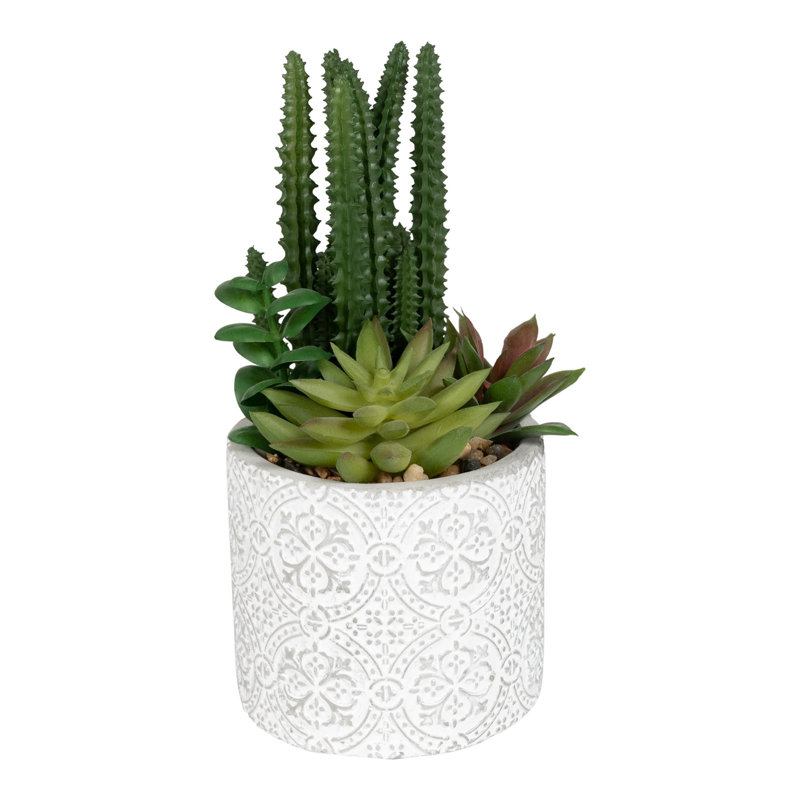 20cm Faux Succulent Plant in Clay Pot
