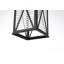 Amiriah 14 inch Outdoor Pendant in Black