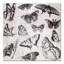 Papillons en niveaux de gris sur toile-1620194116