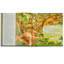 The Jungle Book Leather Bound Children's Book