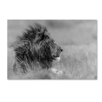 « the king est seul », reproduction de photo sur toile tendue