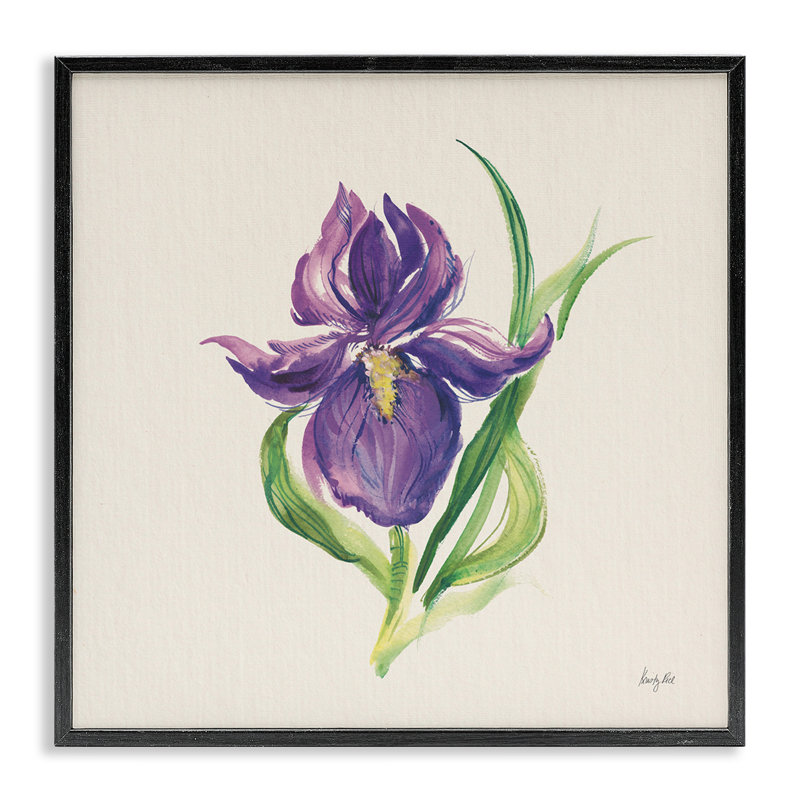 «Iris de Pâques» par Kristy riz bf-992, Giclée encadrée noir minuit, H 17 po x l 17 po