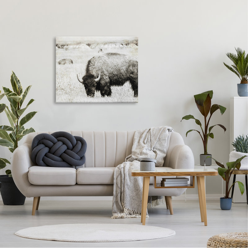 «Bullland Country Farming Country» par Daniel Sproul, L 40 po x H 30 po, Toile tendue