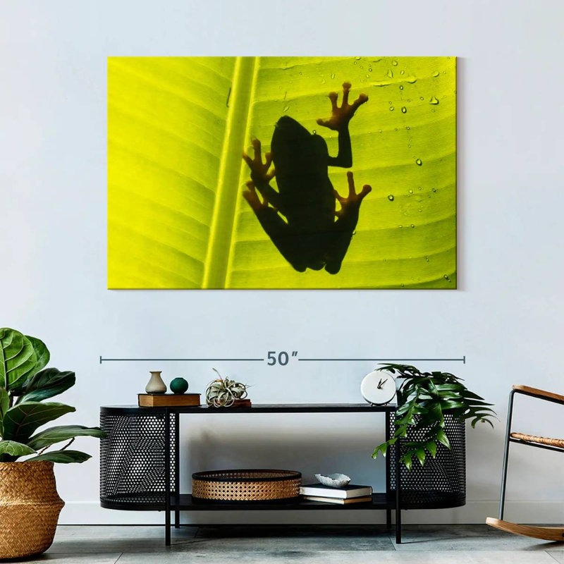 Frog On Leaf, 32" H x 48" W