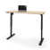 Adjustable Standing Desk