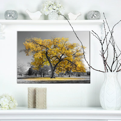 " Big Golden Tree "