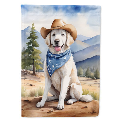 Drapeau Cowboy Welcome House