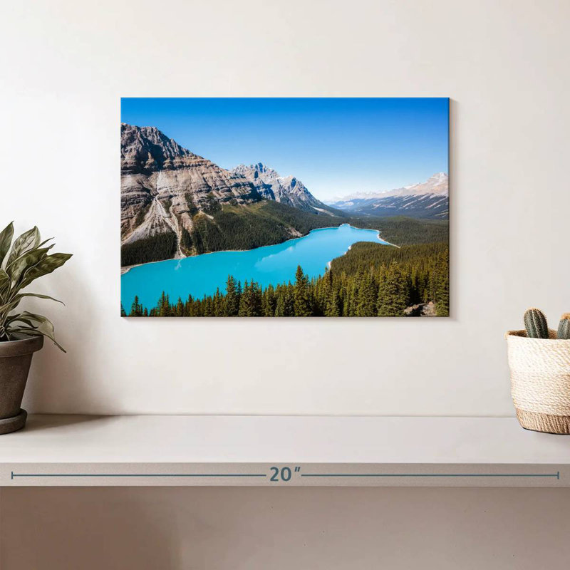 Alamar, aigue-marine, lac Peyto, H 8 po x l 12 po